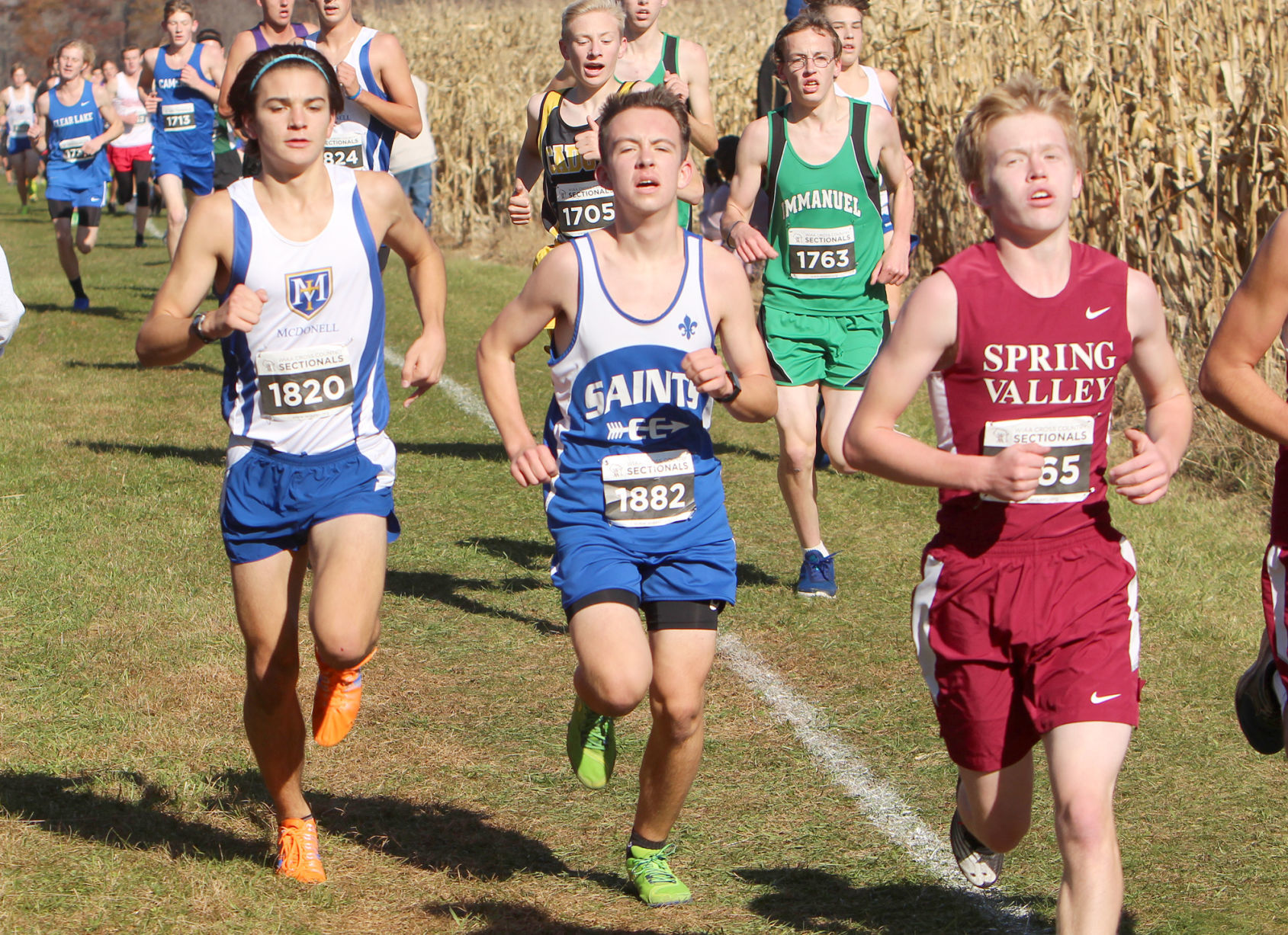 Division 3 Cross Country Sectionals in Boyceville 10-26-19